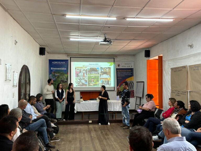 Jovenes Regeneradores7