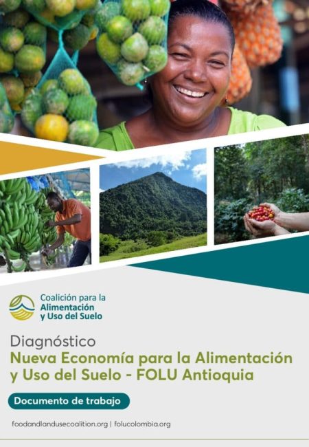 Diagonóstico-FOLU-Antioquia-VF1409-pdf-791x1024