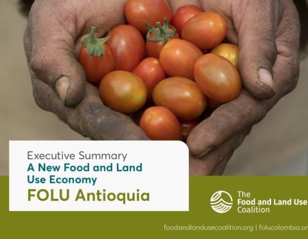 New Food and Land Use Economy
