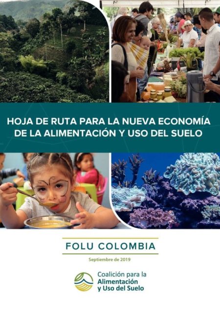 Hoja-de-Ruta-FOLU-Colombia-V2019-pdf-791x1024