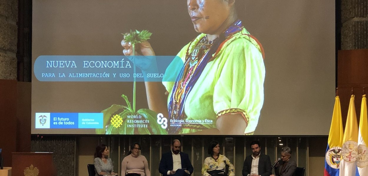 lanzamiento FOLU Global - Bogota Colombia (14)