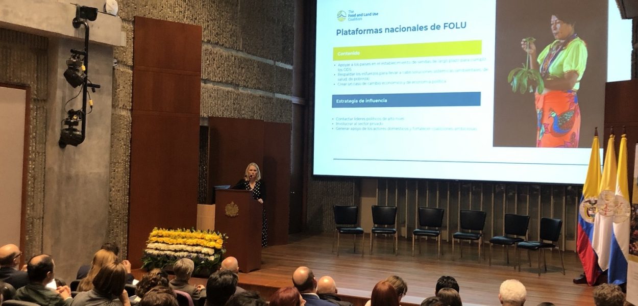 lanzamiento FOLU Global - Bogota Colombia (17)